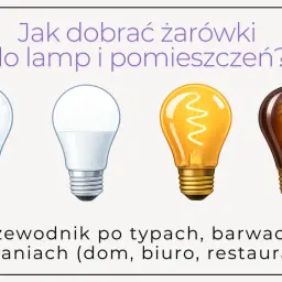 Różne rodzaje żarówek: LED filament, LED, tradycyjna żarówka z żarnikiem, żarówka dekoracyjna. Przewodnik po typach, barwach i zastosowaniach.