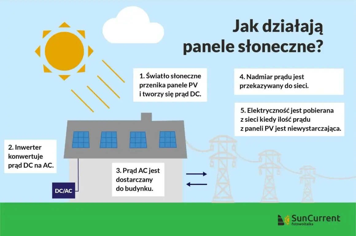Ilustracja pokazuje, jak działa fotowoltaika: słońce zasila panele PV, które produkują prąd DC, konwertowany na AC przez inwerter. Nadwyżka prądu trafia do sieci.